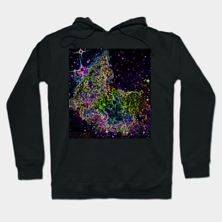 Black Panther Art - Glowing Edges 395 Hoodie